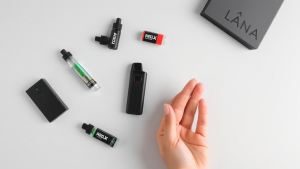 Read more about the article Navigating Singapore Lana Vape Choices: A Guide to Quality and Convenience